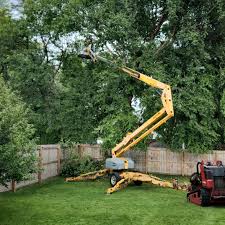 Best Lawn Edging  in Hopewell, VA