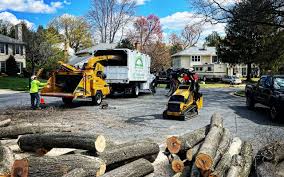 Best Tree Preservation Services  in Hopewell, VA